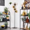Koyoto floor lamp gold, clear, 4-light sources