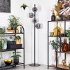 Koyoto floor lamp Smoke-coloured, 4-light sources