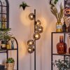 Ripoll floor lamp Smoke-coloured, 6-light sources