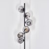 Ripoll floor lamp Smoke-coloured, 6-light sources