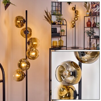 Ripoll floor lamp gold, clear, 6-light sources
