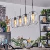 Apedo hanging light, pendant light clear, 4-light sources