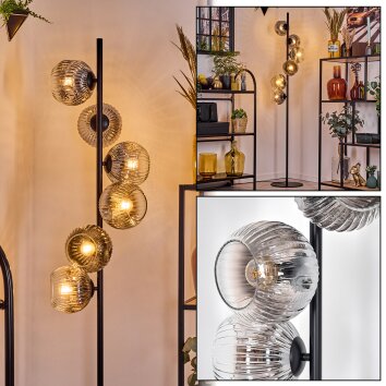 Ripoll floor lamp chrome, clear, Smoke-coloured, 6-light sources