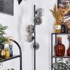 Ripoll floor lamp clear, Smoke-coloured, 5-light sources