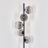 Ripoll floor lamp clear, Smoke-coloured, 5-light sources