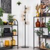 Ripoll floor lamp Amber, clear, 5-light sources