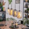 Apedo hanging light, pendant light Amber, clear, Smoke-coloured, 4-light sources