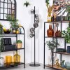Ripoll floor lamp chrome, clear, Smoke-coloured, 6-light sources