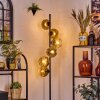 Ripoll floor lamp gold, clear, 6-light sources