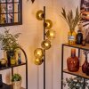 Ripoll floor lamp gold, clear, 6-light sources