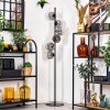 Ripoll floor lamp clear, Smoke-coloured, 6-light sources