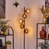 Ripoll floor lamp clear, coppery, 5-light sources