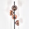 Koyoto floor lamp clear, coppery, 4-light sources