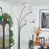 Nikkala floor lamp black, 5-light sources