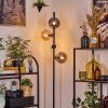 Gastor floor lamp 34 cm Amber, clear, Smoke-coloured, 4-light sources