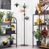 Gastor floor lamp 34 cm Amber, clear, Smoke-coloured, 4-light sources