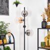 Gastor floor lamp 34 cm Amber, clear, Smoke-coloured, 4-light sources
