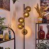 Koyoto floor lamp 31 cm gold, 5-light sources