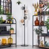 Ripoll floor lamp Amber, clear, Smoke-coloured, 6-light sources