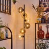 Ripoll floor lamp Amber, clear, Smoke-coloured, 6-light sources