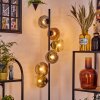 Ripoll floor lamp gold, clear, coppery, Smoke-coloured, 6-light sources
