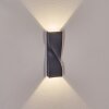 Halan outdoor wall light, Up & Down Light, wall light LED black, 2-light sources