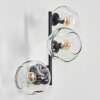 Ripoll globe light, wall light clear, 3-light sources