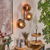 Koyoto globe light, wall light clear, coppery, 3-light sources