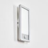 Harel outdoor wall light, Panel, wall light LED silver, 1-light source, Motion sensor