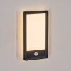Harel outdoor wall light, Panel, wall light LED black, 1-light source, Motion sensor