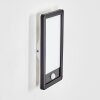 Harel outdoor wall light, Panel, wall light LED black, 1-light source, Motion sensor
