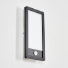 Harel outdoor wall light, Panel, wall light LED black, 1-light source, Motion sensor