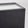 Lanor outdoor wall light, Up & Down Light, wall light LED black, 1-light source