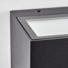 Lanor outdoor wall light, Up & Down Light, wall light LED black, 1-light source