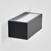 Lanor outdoor wall light, Up & Down Light, wall light LED black, 1-light source