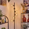 Koyoto floor lamp 31 cm clear, 6-light sources