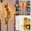 Koyoto floor lamp 31 cm gold, clear, 6-light sources