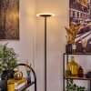 Byrum floor lamp LED black, 1-light source, Colour changer