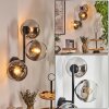Koyoto globe light, wall light chrome, clear, Smoke-coloured, 3-light sources