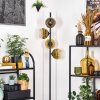Ripoll floor lamp gold, clear, 4-light sources
