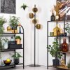 Ripoll floor lamp gold, 4-light sources