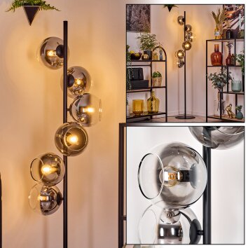 Koyoto floor lamp 31 cm chrome, clear, Smoke-coloured, 6-light sources