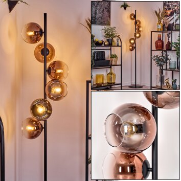 Koyoto floor lamp 31 cm clear, coppery, 6-light sources