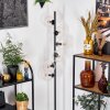 Koyoto floor lamp 31 cm clear, 6-light sources