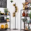 Koyoto floor lamp 31 cm gold, clear, 6-light sources