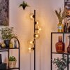 Koyoto floor lamp 31 cm Amber, clear, 6-light sources