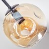 Ripoll ceiling light, globe light Amber, clear, Smoke-coloured, 5-light sources