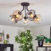 Ripoll ceiling light, globe light Amber, clear, Smoke-coloured, 5-light sources