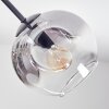 Ripoll ceiling light, globe light Amber, clear, Smoke-coloured, 5-light sources