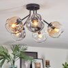 Ripoll ceiling light, globe light Amber, clear, Smoke-coloured, 5-light sources